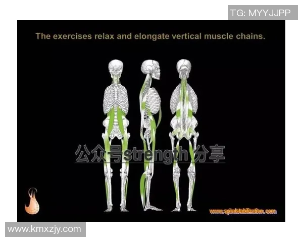 科学飞盘训练技巧与方法提升运动实力的全面指南 科学飞盘训练技巧与方法提升运动实力的全面指南