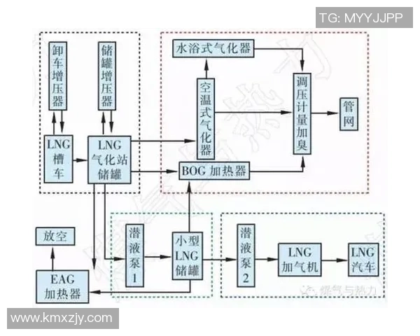 专业分析LNG市场的控制策略与应对方法探讨